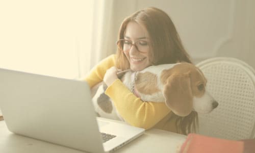 Woman at computer with dog on her lap.